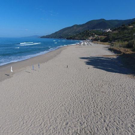 بيسكيوتا Residence Le Palme - Appartamenti Sul Mare - Spiaggia Tra Palinuro E Caprioli المظهر الخارجي الصورة